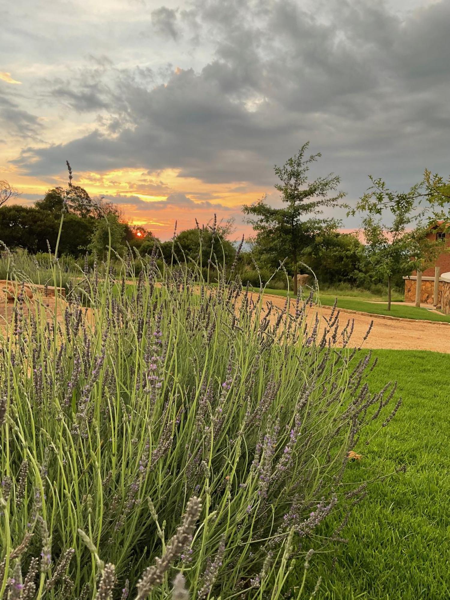 Vila Mount High Luxury Country Estate Lydenburg Exteriér fotografie